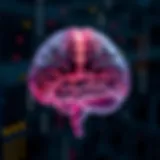 Understanding Brain Functions Visual representation of brain functions