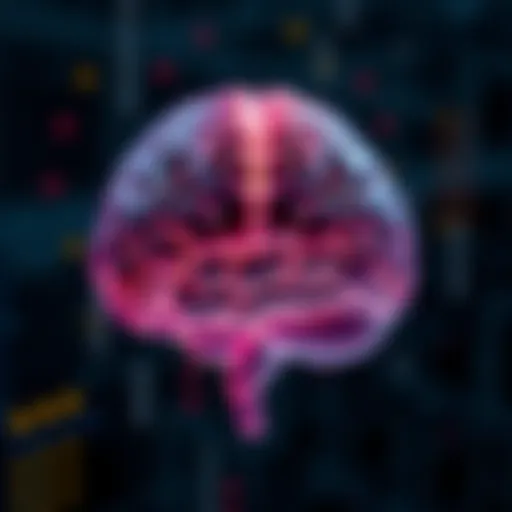 Understanding Brain Functions Visual representation of brain functions