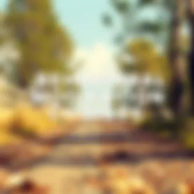 A path diverging into two, symbolizing choice in behavioral modification