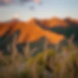 A serene landscape symbolizing introspection