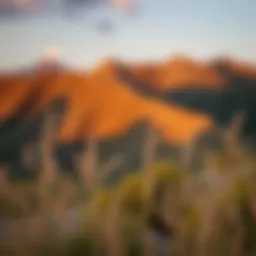 A serene landscape symbolizing introspection