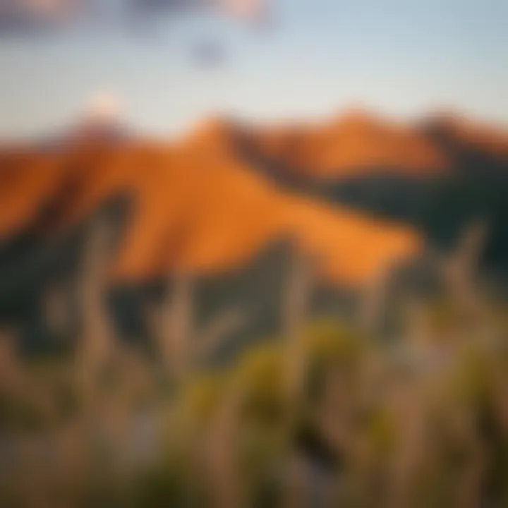 A serene landscape symbolizing introspection