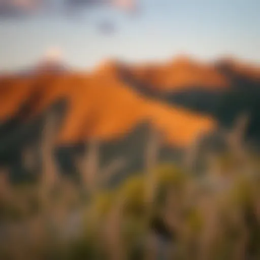 A Landscape of Introspection A serene landscape symbolizing introspection