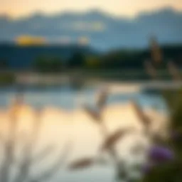 A serene landscape reflecting tranquility and peace, symbolizing retirement