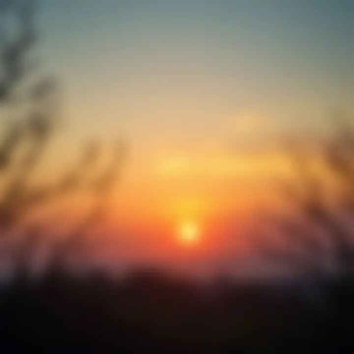 A tranquil scene with a sunrise symbolizing new beginnings