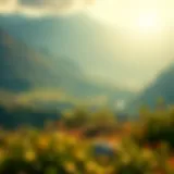 A serene landscape representing inner peace