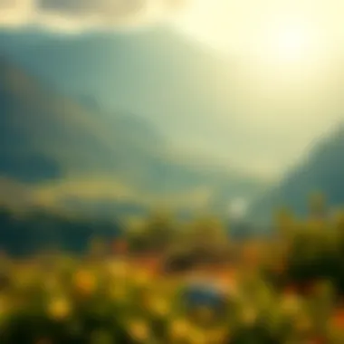 A serene landscape representing inner peace