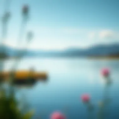 A serene landscape embodying tranquility