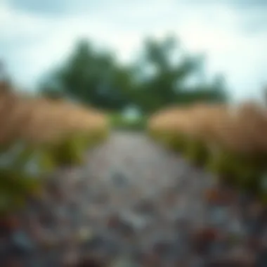 Illustration of personal growth and development