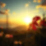 A serene landscape with sunrise symbolizing new beginnings