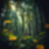 Nature's Embrace: The Solitude Within A serene forest setting symbolizing solitude