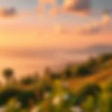 The Essence of Joy in Nature A serene landscape depicting contentment