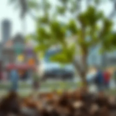 Promoting Sustainability Through Nudging Techniques Environmental nudging and sustainability initiatives