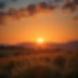 A serene landscape with a sunrise symbolizing new beginnings