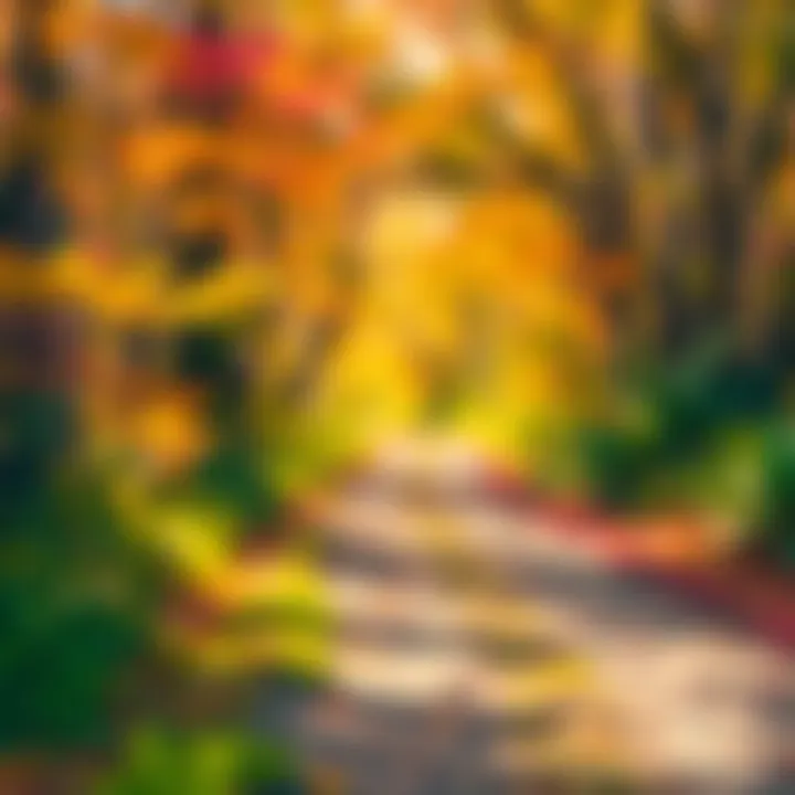 Journey of Mindfulness A pathway leading through a vibrant forest, suggesting mindfulness and exploration.