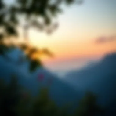 Mindfulness in Nature The essence of mindfulness illustrated through serene nature