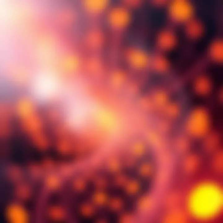 An abstract representation of self-awareness concepts