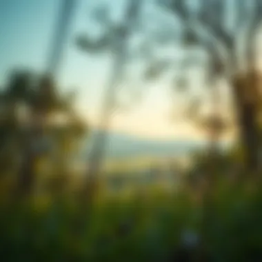 A tranquil nature scene symbolizing intentional living