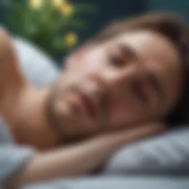 The Biological Impact of Sleep Visual representation of the biological impact of sleep