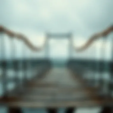 Bridging Personal Development and Financial Mastery Conceptual representation of personal growth and financial success