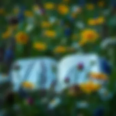 Wildflowers and Untamed Literature An open book surrounded by wildflowers, representing untamed literature