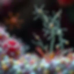 Illustration of diverse microbial life