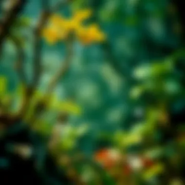 Interconnections in Ecosystems Diagram illustrating interconnections among organisms