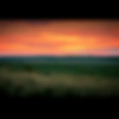 An artistic depiction of the Kansas landscape, setting the stage for the events described in the book.