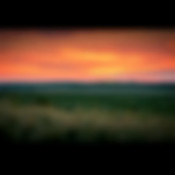 An artistic depiction of the Kansas landscape, setting the stage for the events described in the book.