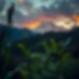 A serene landscape reflecting strength through nature