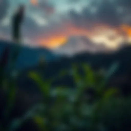 A serene landscape reflecting strength through nature