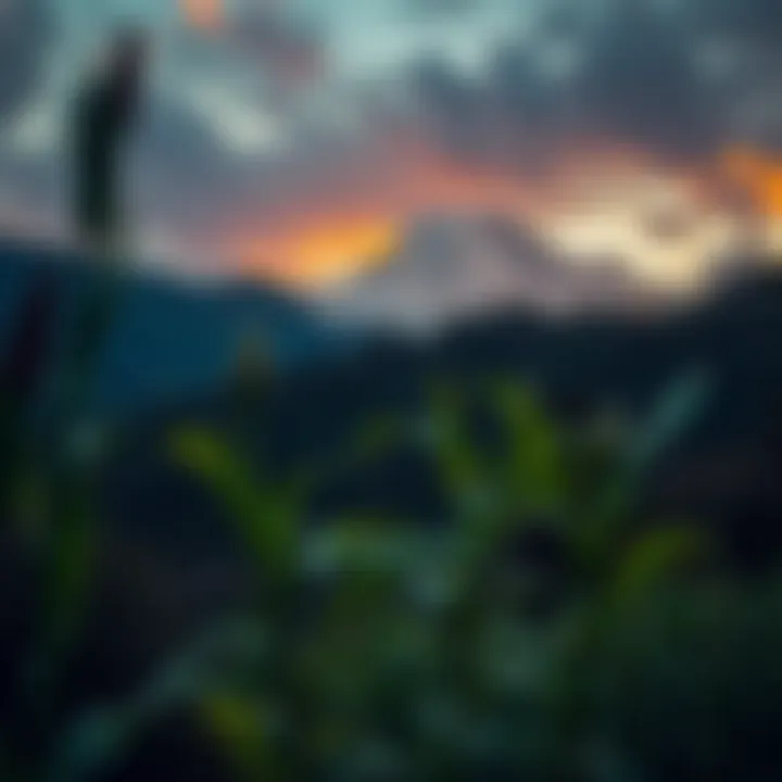 A serene landscape reflecting strength through nature