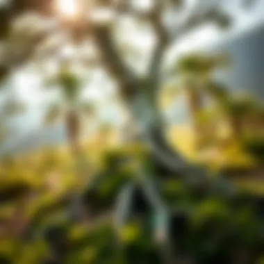 A close-up of a sturdy tree representing endurance