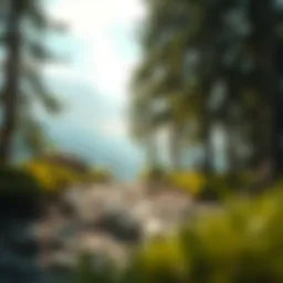 A serene landscape reflecting inner peace and contemplation