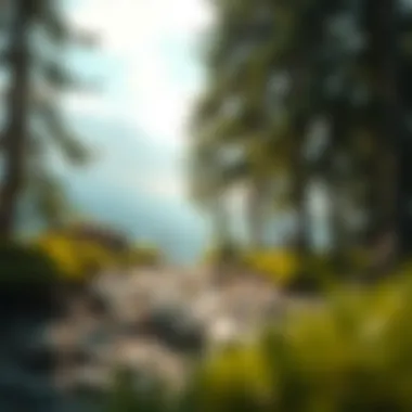 A serene landscape reflecting inner peace and contemplation