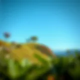 A serene landscape symbolizing mindfulness and body awareness