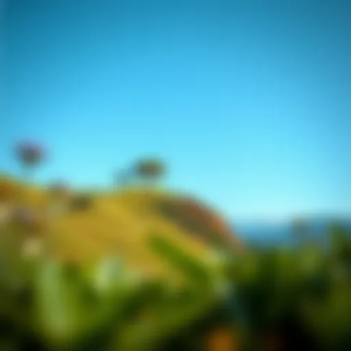 A serene landscape symbolizing mindfulness and body awareness