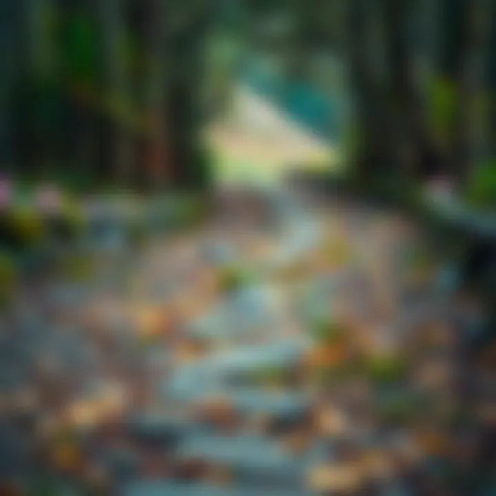 A path symbolizing perseverance and dedication