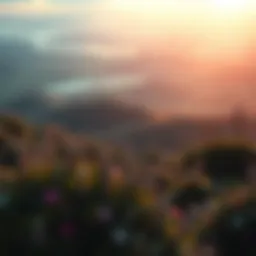 A serene landscape representing growth and potential