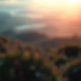 The Boundless Horizon of Growth A serene landscape representing growth and potential