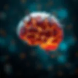 Cognitive processes influencing behavior