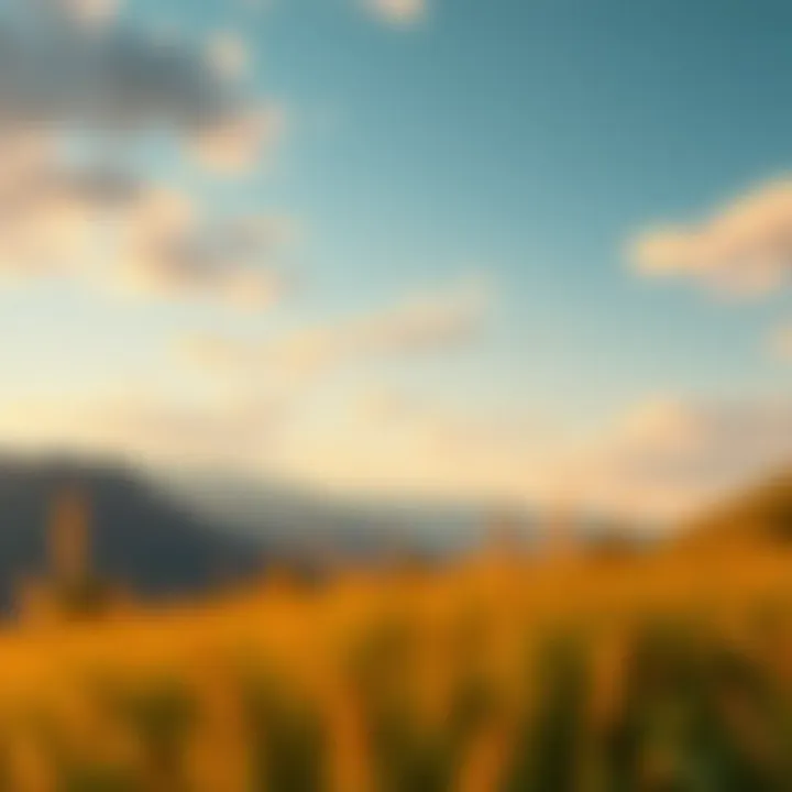 Contemplative Landscape A contemplative landscape symbolizing the search for meaning