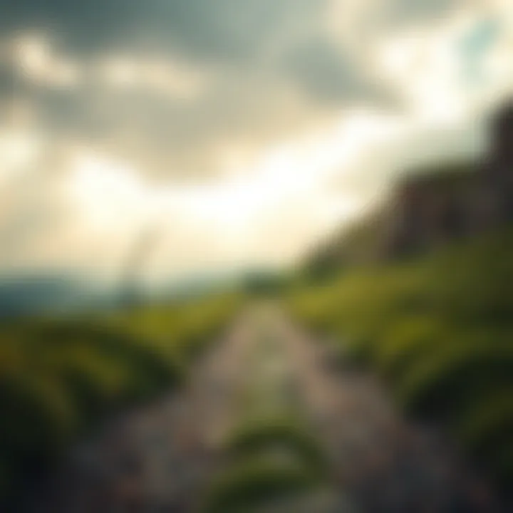 Pathway to Growth A pathway illustrating personal growth and exploration