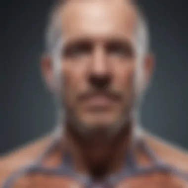 Understanding the Functions of Our Physiology Conceptual representation of body functions