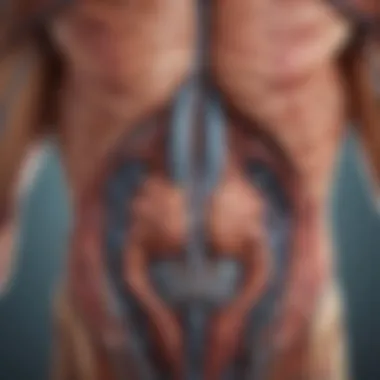 A Comprehensive View of Body Systems Artistic depiction of body systems
