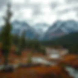 A serene wilderness landscape depicting the harsh yet beautiful environment of the Yukon.