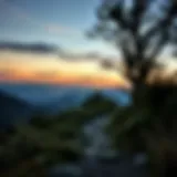 Embracing Vulnerability: A Path to Authenticity A serene landscape symbolizing inner peace and vulnerability