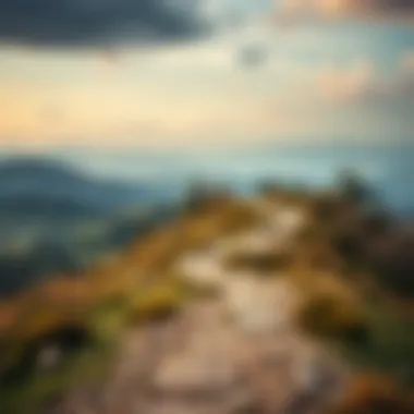 The Path to Authenticity A serene landscape with a winding path, representing the journey of authenticity and self-discovery.