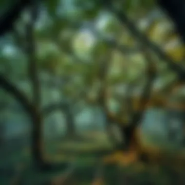 The Communication Network of Trees A visual representation of trees communicating through underground networks.