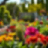 A vibrant community garden symbolizing sustainable living